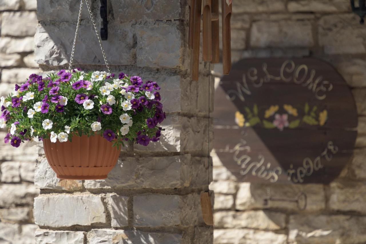 Hotel Ameliko Zagori Áno Pediná Exteriér fotografie