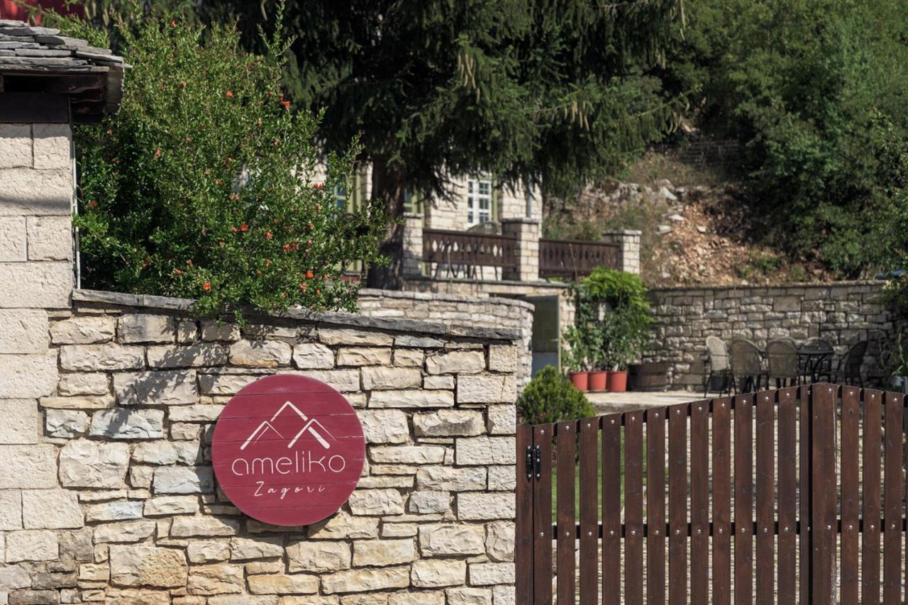 Hotel Ameliko Zagori Áno Pediná Exteriér fotografie
